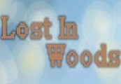 Lost in Woods 2 Steam CD Key 0.96 USD