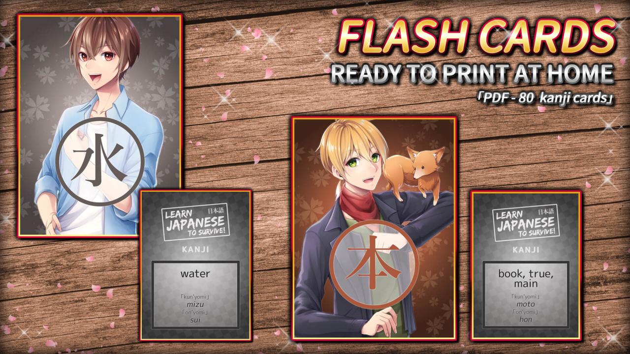 Learn Japanese To Survive! Kanji Combat - Flash Cards DLC Steam CD Key 0.95 USD