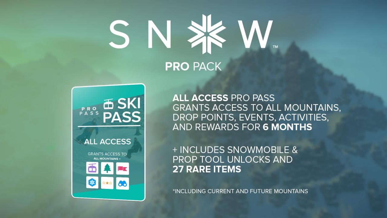 SNOW - Pro Pack DLC EU Steam CD Key 0.53 USD