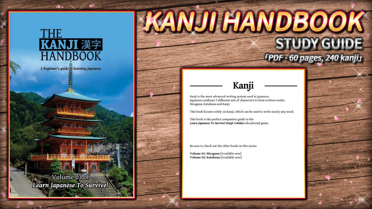 Learn Japanese To Survive! Kanji Combat - Study Guide DLC Steam CD Key 1.76 USD
