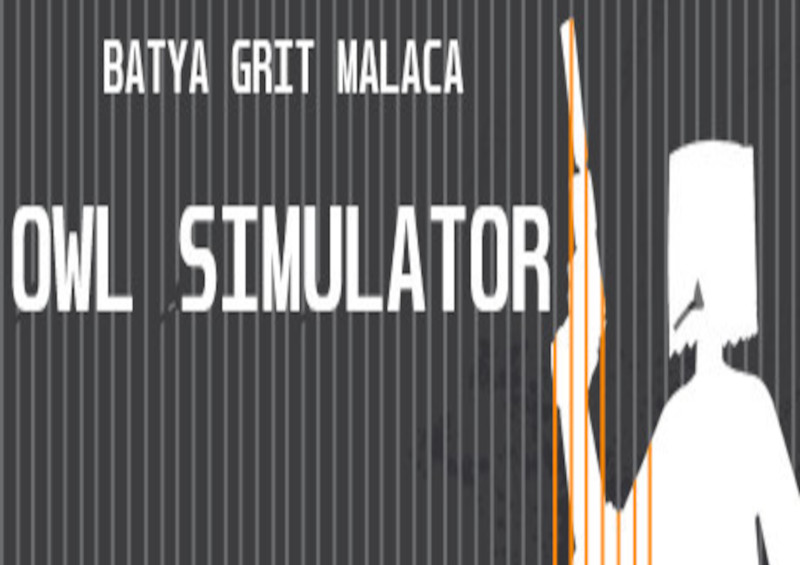 Owl Simulator Steam CD Key 0.18 USD