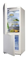 ảnh Tủ lạnh Snaige RF27SM-S10002
