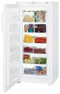 larawan Refrigerator Liebherr GP 3013