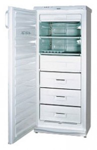 larawan Refrigerator Snaige F245-1504A