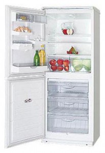 фото Холодильник ATLANT ХМ 4010-013