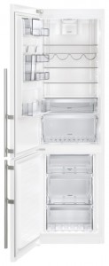 фото Холодильник Electrolux EN 3889 MFW