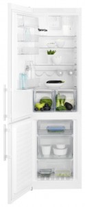 larawan Refrigerator Electrolux EN 3852 JOW