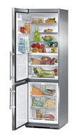 larawan Refrigerator Liebherr CBNes 3857