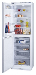 фото Холодильник ATLANT МХМ 1848-34