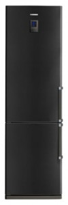 larawan Refrigerator Samsung RL-41 ECTB