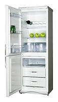 larawan Refrigerator Snaige RF310-1T03A