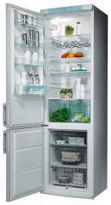 larawan Refrigerator Electrolux ERB 9041
