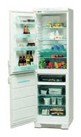larawan Refrigerator Electrolux ERB 3109