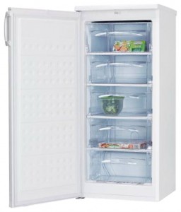 larawan Refrigerator Hansa FZ206.3