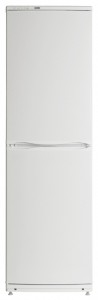 larawan Refrigerator ATLANT ХМ 6023-100