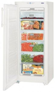 larawan Refrigerator Liebherr GNP 2303