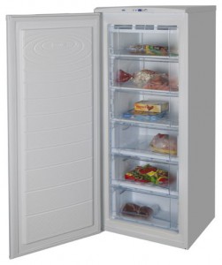 фото Холодильник NORD 155-3-410
