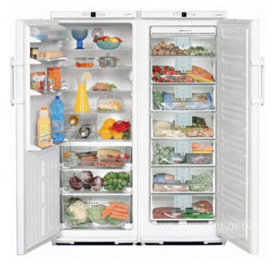 larawan Refrigerator Liebherr SBS 6102