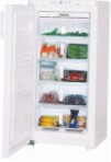 Liebherr GN 1956 Tủ lạnh