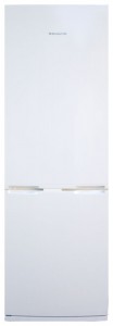 larawan Refrigerator Snaige RF31SH-S10001