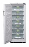 larawan Refrigerator Liebherr GSP 3126