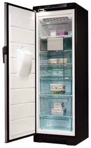 ảnh Tủ lạnh Electrolux EUFG 2900 X