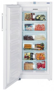 larawan Refrigerator Liebherr GNP 3166