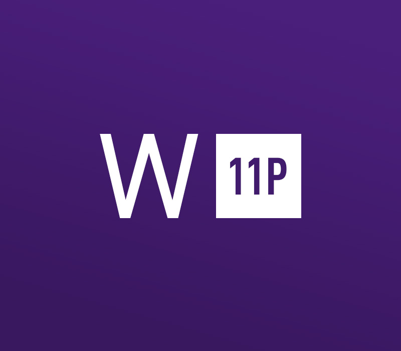 Windows 11 Professional OEM Key - API 20.89 USD