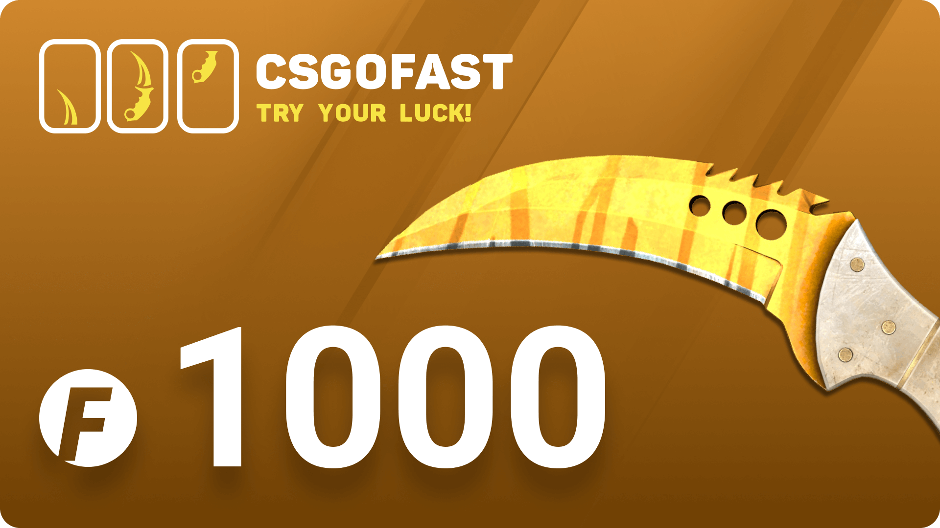 CSGOFAST 1000 Fast Coins Gift Card 695.26 USD