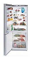 larawan Refrigerator Gaggenau RB 272-250