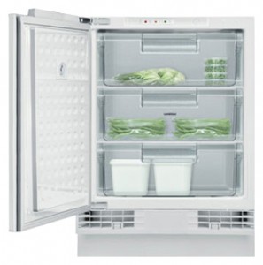 larawan Refrigerator Gaggenau RF 200-200