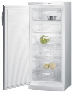 larawan Refrigerator Gorenje F 6248 W