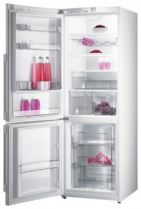 larawan Refrigerator Gorenje RK 65 SYW