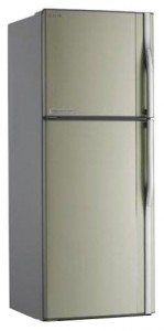 larawan Refrigerator Toshiba GR-R51UT-C (CZ)