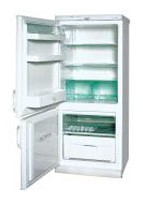 larawan Refrigerator Snaige RF270-1503A