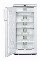 larawan Refrigerator Liebherr GN 2413