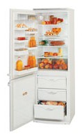 фото Холодильник ATLANT МХМ 1817-23