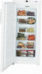 Liebherr GN 3113 Tủ lạnh