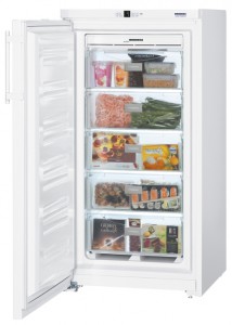 larawan Refrigerator Liebherr GNP 2613