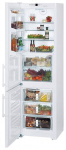 larawan Refrigerator Liebherr CBN 3913