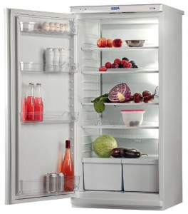 larawan Refrigerator Pozis Свияга 513-3