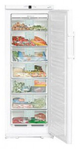larawan Refrigerator Liebherr GN 2566