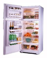 фото Холодильник General Electric GTG16HBMWW