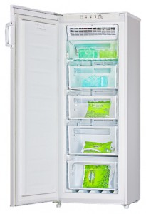 larawan Refrigerator LGEN TM-152 FNFW
