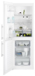 larawan Refrigerator Electrolux EN 3201 MOW