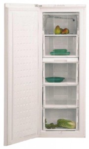 ảnh Tủ lạnh BEKO FSE 21920