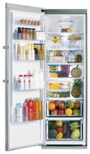 ảnh Tủ lạnh Samsung RR-92 EESL