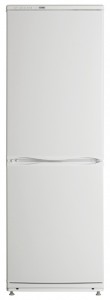 larawan Refrigerator ATLANT ХМ 6019-031