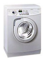 写真 洗濯機 Samsung F1015JS