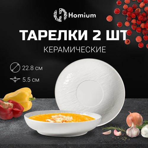 Набор сервировочных тарелок для вторых блюд Homium Classic, 2шт, D22.8см, цвет белый фото, описание